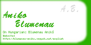 aniko blumenau business card